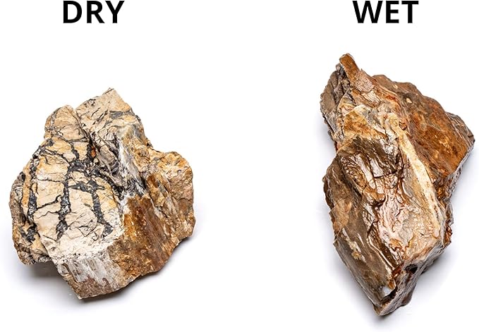 SubstrateSource Natural Stone for Aquarium, Terrarium, Paludarium, Reptile Enclosures - Set of Decorative Rocks for Landcapes, Aquascaping, Fish Tank Decor (Petrified Wood Stone, 20 Pounds, 2-7")