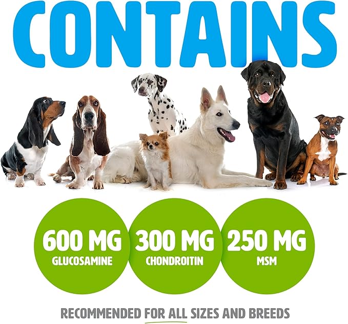 Glucosamine for Dogs with Chondroitin and MSM -Hip and Joint Supplement for Dog Mobility Support and Arthritis Pain Relief - 250 Chewable Tablet Treats