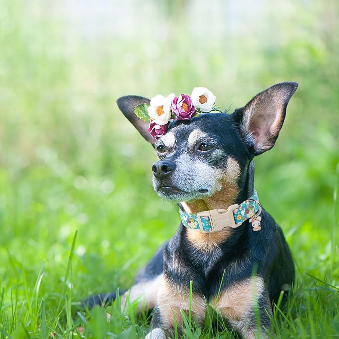 DOGWONG Cute Flower Bunny Eggs Easter Dog Collar - Pink, Adjustable for Small Dogs & Puppies
