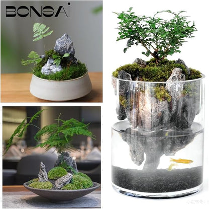 kecilke Seiryu Stones Aquarium Rocks Hardscape Stone for Aquariums, Fish Tanks, Bonsai, Terrariums, Wargaming Dioramas, Indoor or Outdoor Gardens(11lb 2-7inches)