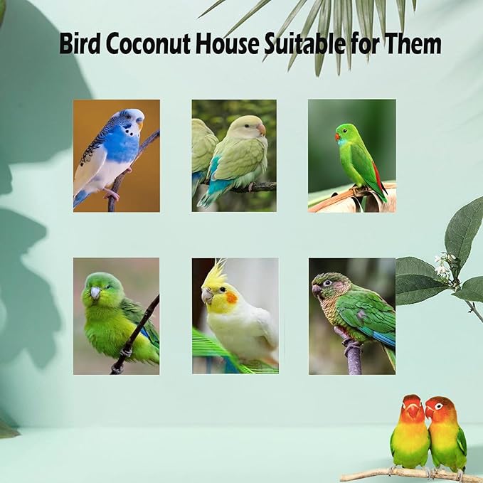 Hanging Coconut for Birds,Bird Nest for Cage Parakeet Hideaway Budgie Hut House Sleeping Toys Pet Cage Habitats Decor for Parrot Cockatiel Conure Finch