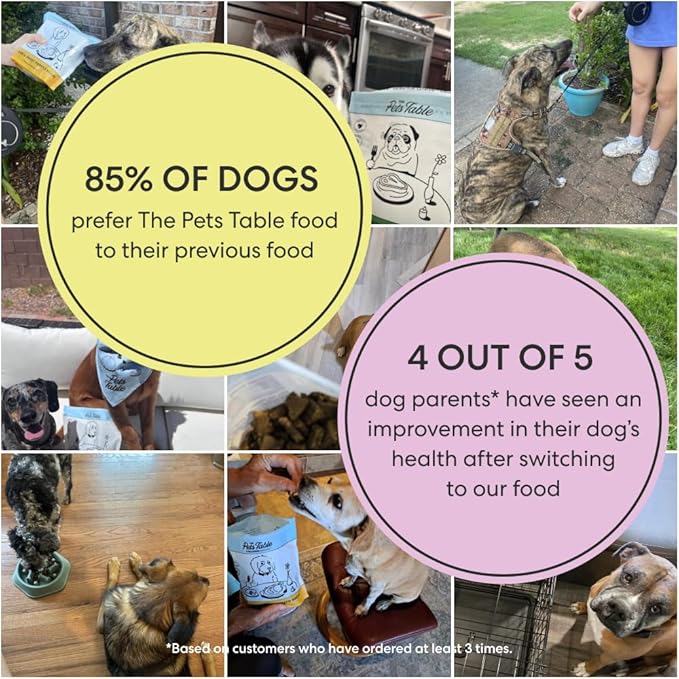 The Pets Table Beef & Berries Grain-Free Air Dried Dog Food, 3lbs / 48 oz Bag