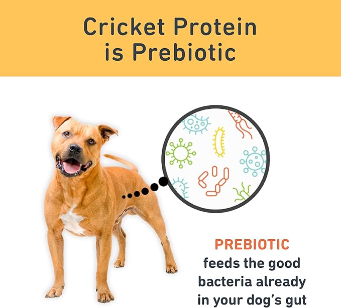 Jiminy's Original Cricket Cookie Dog Treat, Hypoallergenic, 5oz, Peanut Butter & Blueberry (Pack of 1)