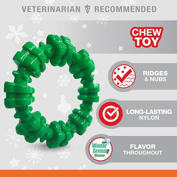 Nylabone Power Chew Textured Ring Dog Toy, Dog Chew Toys for Aggressive Chewers, Winter Green Flavor, Small/Regular - Up to 25 lbs. (1 Count)