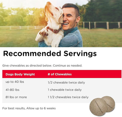 Nutri-Vet Hip & Joint Chewable Dog Supplements - Formulated with Glucosamine & Chondroitin for Dogs - 90 Count