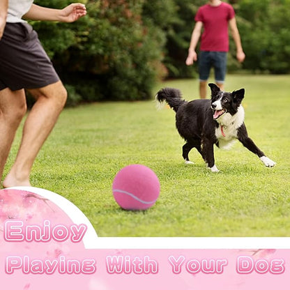 Large Dog Tennis Ball,9.5" Giant Doy Sport Ball Toy,Pet Birthday Present Interactive Dog Toys for Small Medium Large Dog (Pink)