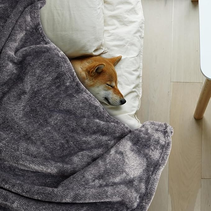 Onarway Dog Blanket Washable for Puppy: 4 Packs Dog Blankets 40”x28” - Fluffy Soft Small Throw for Cat Puppy Kitten Dogs - Fleece Pet Blankets for Bed Sofa Car and Indoor - Purple