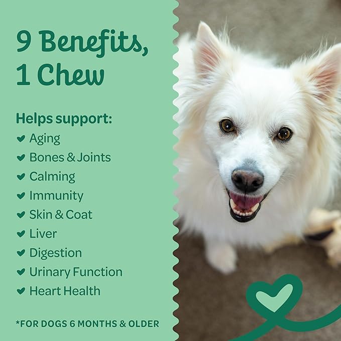 Wholesome Pride 9-in-1 Dog Multifunctional Soft Chews  Joint Pain Relief, Hip & Joint Support, Immune, Skin, Gut, Heart, Brain Health  Glucosamine, MSM, Chondroitin  90 Chews