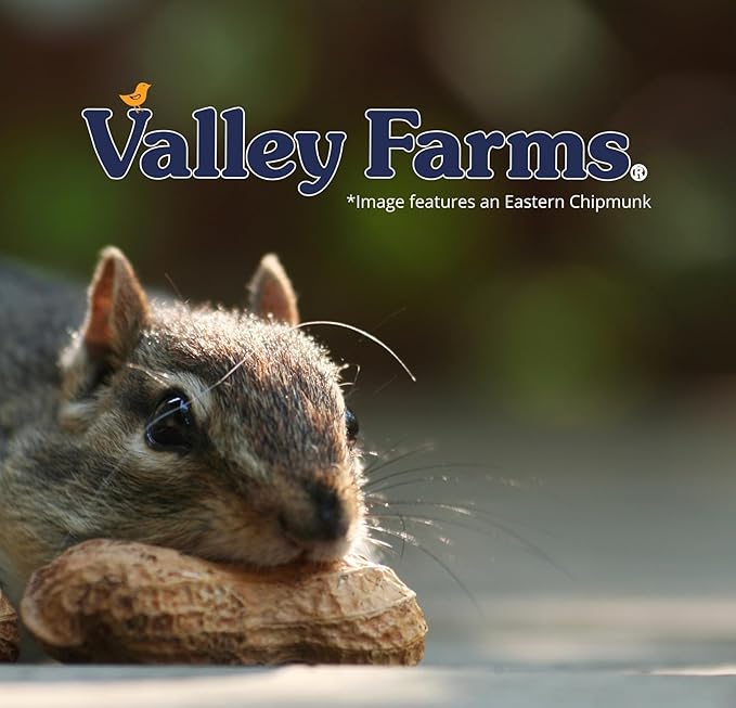Valley Farms Squirrel & Wildlife Mix (4 LB) Wildlife Food and Wild Bird Food, Bird Seed for Squirrel Chipmunks & Deer, Peanuts, Black Oil Sunflower & Corn