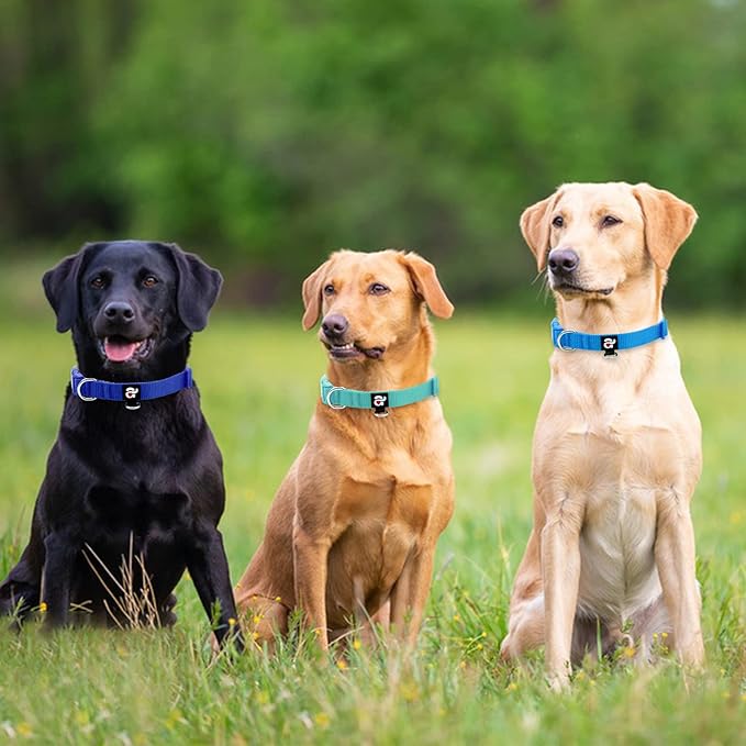 azuza 3 Pack Dog Collars Comfortable and Adjustable Nylon Dog Collars for Medium Dogs, M (14-20inch)ï¼_reen, Blue and Royal Blue