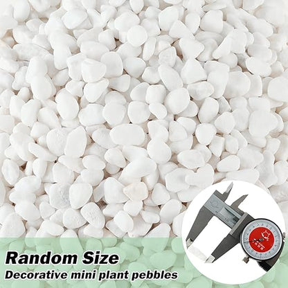 11 Lbs Natural River Rocks for Plants 0.3” Small Decorative Pebbles for Plant Pot Landscaping Garden Stones White Aquarium Gravel, Mini Vase Filler, Terrarium Rocks in Bulk, Home Decor