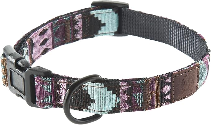 Embark Urban Dog Collar  Dog Collar Stylish & Durable Nylon Dog Collar for Large Dogs, Small Dogs & Medium Dogs.Comfortable Pet Collar Strong Buckles for Any Size Breed (Aztec, Small)