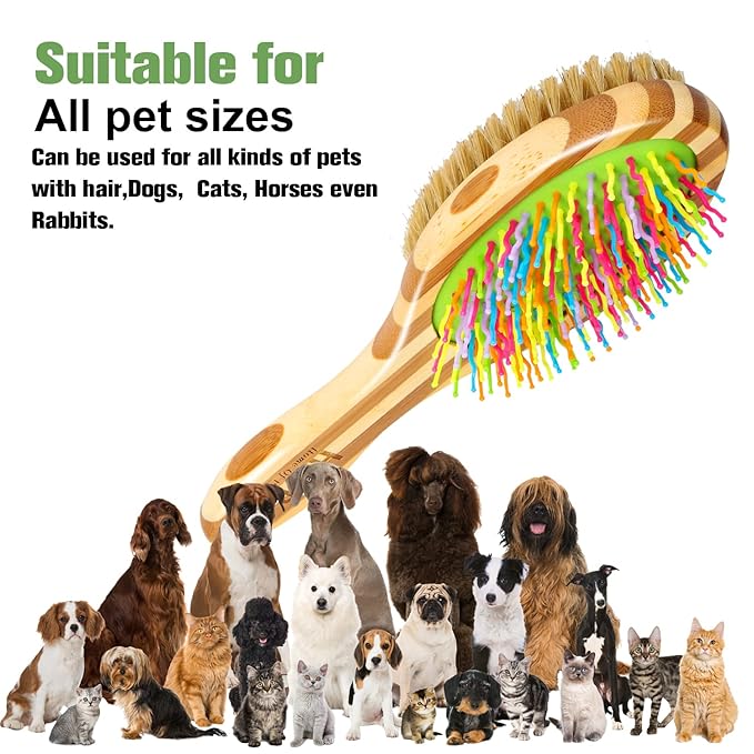 MAXIMILIAN Dog Brush in Mint Green for Dog Grooming and Detangling, Easy to Hold Ergonomic Handle, Soft Plastic Teeth and Bristle Brush, Best Pet Brush for Curly-haired Dogs, Eco Friendly