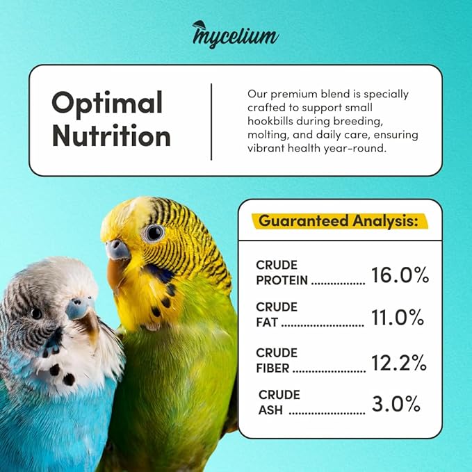 Mycelium Premium Small Hookbill Plus | High-Protein Bird Food for Lovebirds, Parrotlets, & Small Parrots | Organic Seed & Grain Mix with Eggs, Safflower, Millet, Pumpkin, & Oat Groats | 5 lb Bag