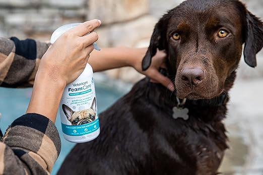 Vetericyn FoamCare Dog Shampoo and Conditioner - Instant Foaming, Spray-On Hypoallergenic Shampoo, Plant-Based Formula for Dogs and Cats. 16 Ounce