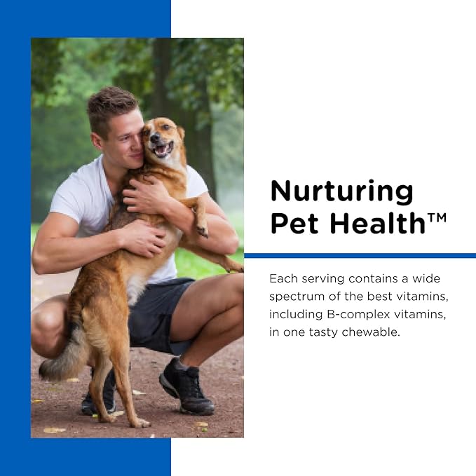 Nutri-Vet Multi-Vite Chewables for Adult Dogs, Dog Vitamins, Pet Essentials, Potent Antioxidants, Strong Bones, Supports a Balanced Diet, Pet Supplements, 120 Count