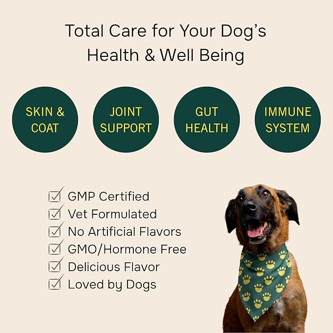 PetMeds Multivitamin Supplement for Dogs - Daily Vitamin with Kelp, Spirulina, Ashwagandha, Glucosamine & Probiotics for Immune, Joint, Skin & Gut Health - Beef & Sweet Potato Flavor - 60 Soft Chews
