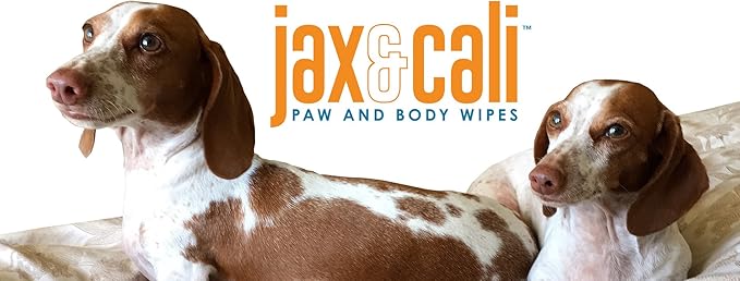 JAX & CALI Pet Wipes, Natural Textured Paw and Body Wipes, Hypoallergenic, pH Balanced, Vitamins B3 & E, Soothing Aloe, No Fragrance, Holistic, Cruelty Free, Dogs & Cats, Extra Large 8"x10", 20 Wipes