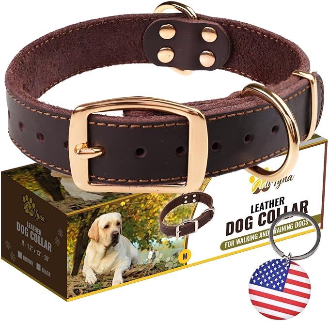 ADITYNA Heavy Duty Leather Dog Collar for Medium Dogs - Soft and Strong Leather Dog Collar for Medium Dog Breeds (Medium: Fit 13" - 20" Neck, Brown - Gold Colored Buckle)