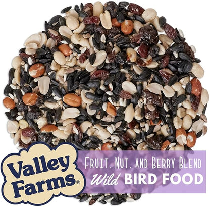 Valley Farms Fruit Nut & Berry (4 LB) Wild Bird Food Outside Feeders, Bird Seed with Dried Fruit, Peanuts, Sunflower, and Safflower, High Energy Mix for Healthy Birds!
