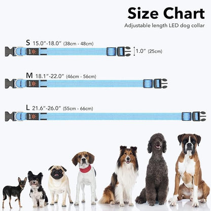 BSEEN Light Up Dog Collars - Glowing LED Dog Collar, Reflective Puppy Collar, Adjustable Lighted Dog Collar, Rechargeable Pet Collar for Night Walking (Blue, Medium)