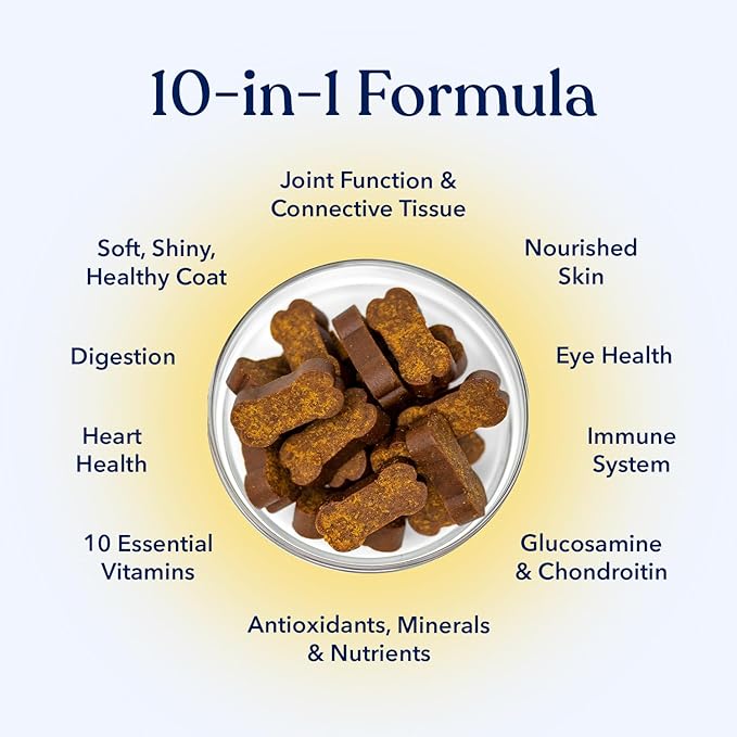 Honest Paws (90 Count) Dog Multivitamin Soft Chews with 10 Essential Vitamins - Joint, Coat, Immune, Eye & Heart Support - with Glucosamine, Chondroitin & Omega-3 - Beef Flavor