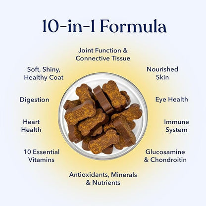 Honest Paws (90 Count) Dog Multivitamin Soft Chews with 10 Essential Vitamins - Joint, Coat, Immune, Eye & Heart Support - with Glucosamine, Chondroitin & Omega-3 - Beef Flavor