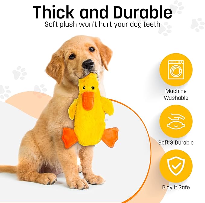 FGA MARKETPLACE Duck and Frog Flat NO Stuffing NO Squeak Plush Dog Toy, Funny Style Will Entertain Your Dog for Hours, Recommended for Small and Medium Dog 21 INCH Long