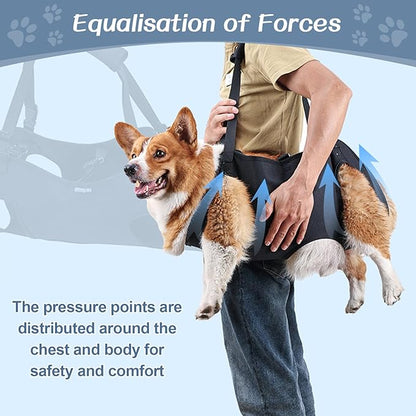 BIGNADO Dog Lift Harness Adjustable Full Body Support Dog Sling Breathable Straps for Assisted Mobility Dog Legs Hip Rehabilitation Lifts for Elderly Disabled Leg Injuries Dogs-M