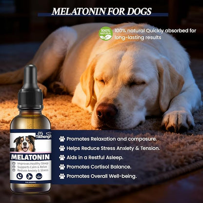 Melatonin for Dogs, Dog Calming Aid with Melatonin to Support Relaxation and Restful Sleep, Helps with Occasional Stress and Nighttime Restlessness, Gentle Daily Supplement, 1 Pack