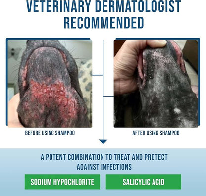 Command Medicated Dog Shampoo for Itchy Skin, Anti-Itch Relief for Allergies and Dry Skin, Healing Soothing Pet Care Formula (12 oz)