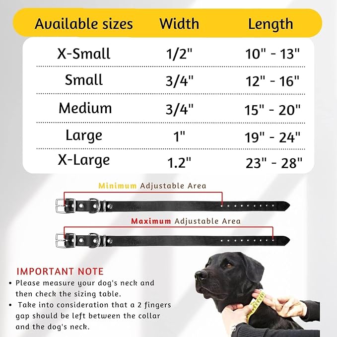 Adityna - Leather Dog Collar for Extra-Small Dogs and Puppies - Classic Style, Soft and Strong, Heavy Duty Black Leather Dog Collars for XSmall Dogs (XS - Neck: 10-13 inches, Black)