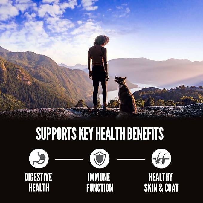 ORIJEN Amazing Grains Original Dry Dog Food, High Protein Dog Food, Fresh or Raw Ingredients