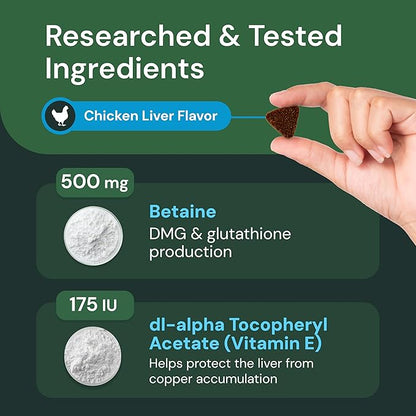 VetriScience Veterinary Strength Liver Health Chews - Canine Liver Care Supplement for Detox Support - Dog Supplement - Supports Immune System - No Fasting Required - 60 Count