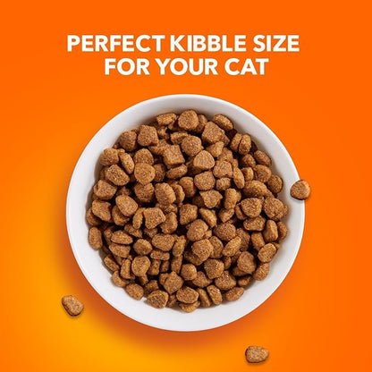 IAMS Proactive Health Adult Healthy Dry Cat Food with Chicken, 22 lb. Bag