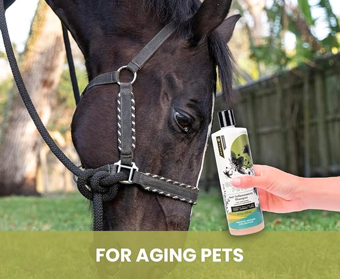 Holistic Natural Anti-Inflammatory Pet Shampoo: Veterinarian Recommended: Soothing Joints & Soreness for Dogs, Cats and Horses - Made in USA - 16 oz