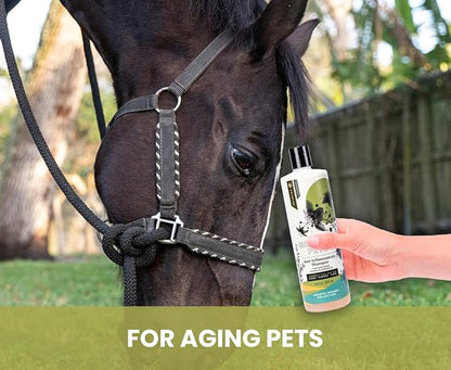 Holistic Natural Anti-Inflammatory Pet Shampoo: Veterinarian Recommended: Soothing Joints & Soreness for Dogs, Cats and Horses - Made in USA - 16 oz