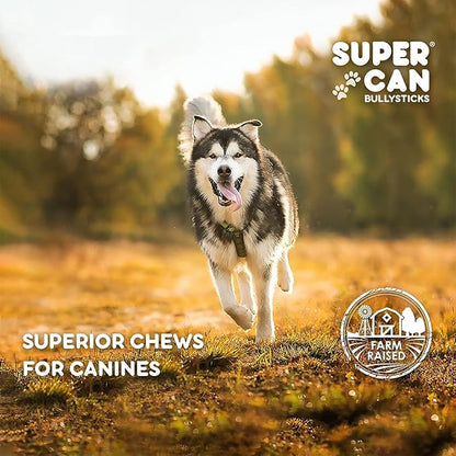 SUPER CAN BULLYSTICKS Half Pig Ears for Dogs (30 Count) All Natural Dog Treats Pig Ears - Healthy Dog Treats - Pig Ears for Dogs Large - Natural Dog Chews - Pigs Ears for Large Dogs, Medium & Small