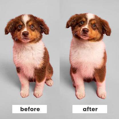 Pet Teezer by Tangle Teezer Puppy Essential Dog Brush, with Extra Soft Teeth for Gentle Grooming on Wet or Dry Fur, Mint