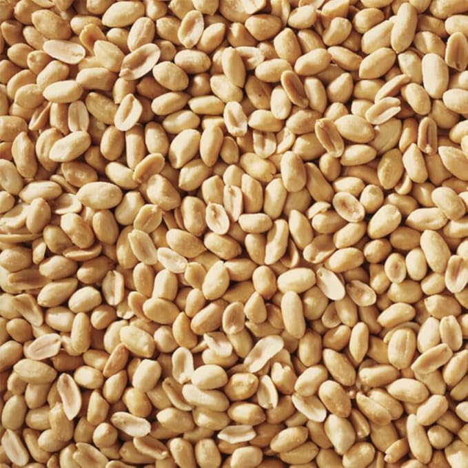 Shelled Peanuts Seeds Wild Bird Food - 5 Pounds I No Grow Seed I Bird Seed for Wild Birds