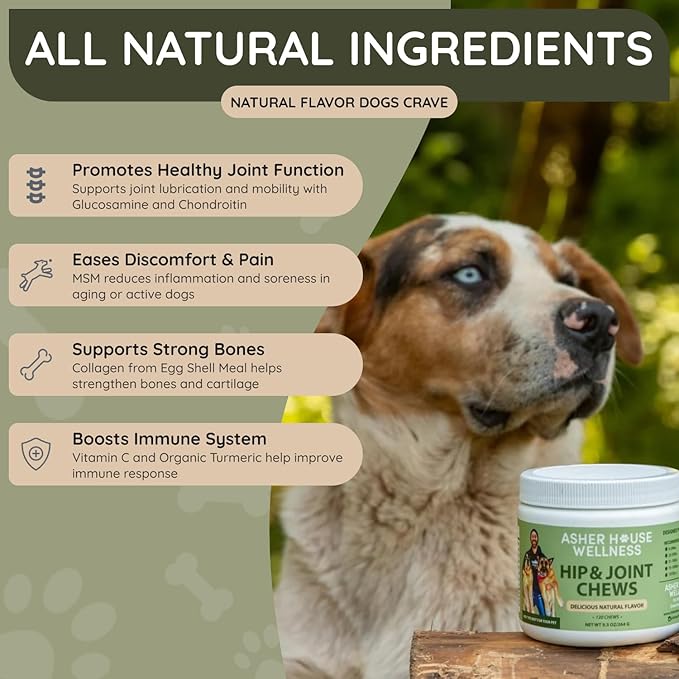 Asher House Wellness Hip and Joint Supplement for Dogs - Natural Soft Chew with MSM, Chondroitin, Glucosamine, Vitamins - Promotes Joint Health & Pain Relief Senior & All Dog Breeds, Large, 120 Chews