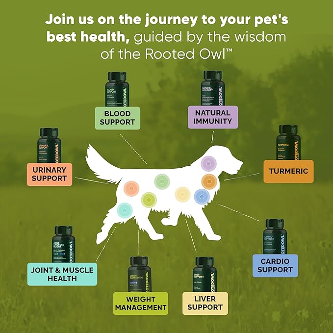 Rooted Owl Turmeric - Turmeric Supplement for Dogs and Cats - with Curcumin, Piperine and Vitamin C for Anti-Inflammatory Relief - 60/ct
