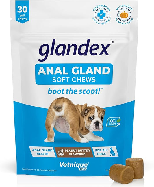 Glandex Anal Gland Soft Chew Treats with Pumpkin for Dogs Digestive Enzymes, Probiotics Fiber Supplement for Dogs Boot The Scoot (Peanut Butter Chews, 30ct)