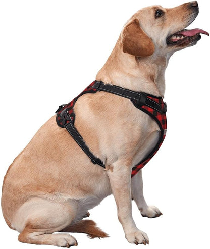 Custom Breathable Pet Chest Harness with Optional Leash, Customize No-Pull Dog Harnesses with Your Personalized Design, Personalize Pet Towing Vest with Mesh Fabric, Darkcyan, M