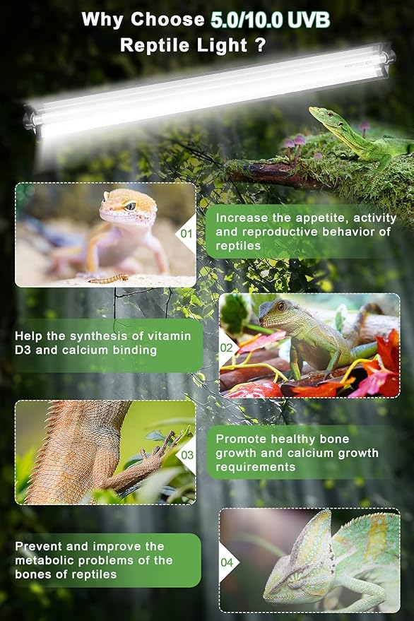 24W T5 HO UVB Reptile Light Fixture Kit, Terrarium Hood Light with Desert UVB 10.0 Fluorescent Tube, Ideal for Tropical and Desert Habitats