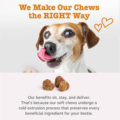 Zesty Paws Omega 3 Alaskan Fish Oil Chew Treats for Dogs - with AlaskOmega for EPA & DHA Fatty Acids - Hip & Joint Support + Skin & Coat Chicken Flavor (90 Soft Chews)