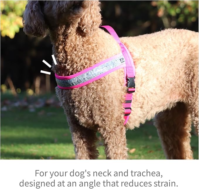 _akusan New Just Fit Dog Harness Dragon - Reflective, Paisley, Stress-Free, Japanese Made,one-Touch Buckles,Easily Put on,(Black_Turquoise, 00)