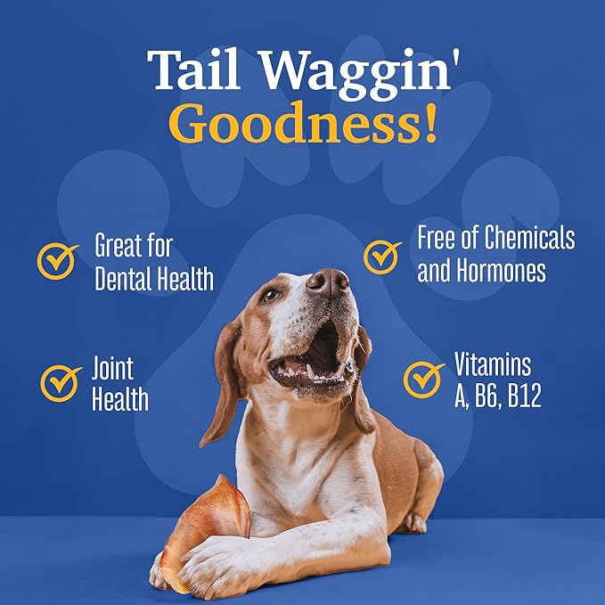 SUPER CAN BULLYSTICKS Pig Ears for Dogs (20 Count) | All Natural Healthy Dog Treats | Pig Ears for Large, Medium & Small Dogs | Natural Chews Alternative to Rawhide