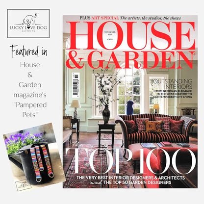 Lucky Love Dog Collars, Rainbow Striped Dog Collar for Big Dogs, Vivid Pattern Girl or Boy Dog Collars, Nacho, Extra Large