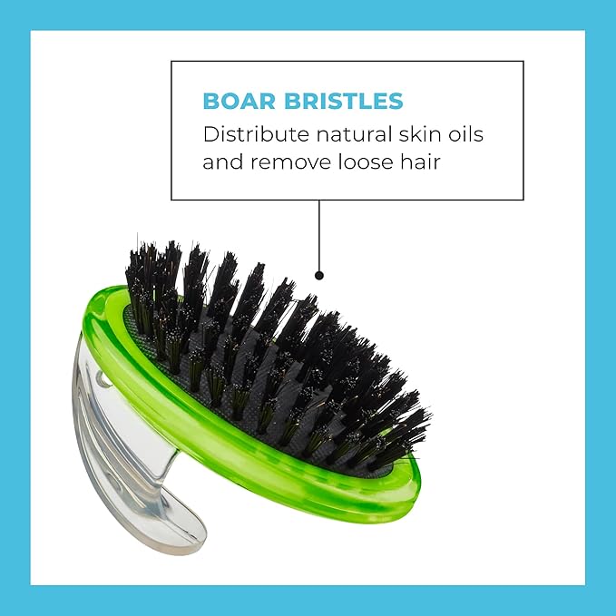 CONAIRPROPET Bristle Brush with Ergonomic Pet-It Design, Dog Brush for Removing Loose Hair